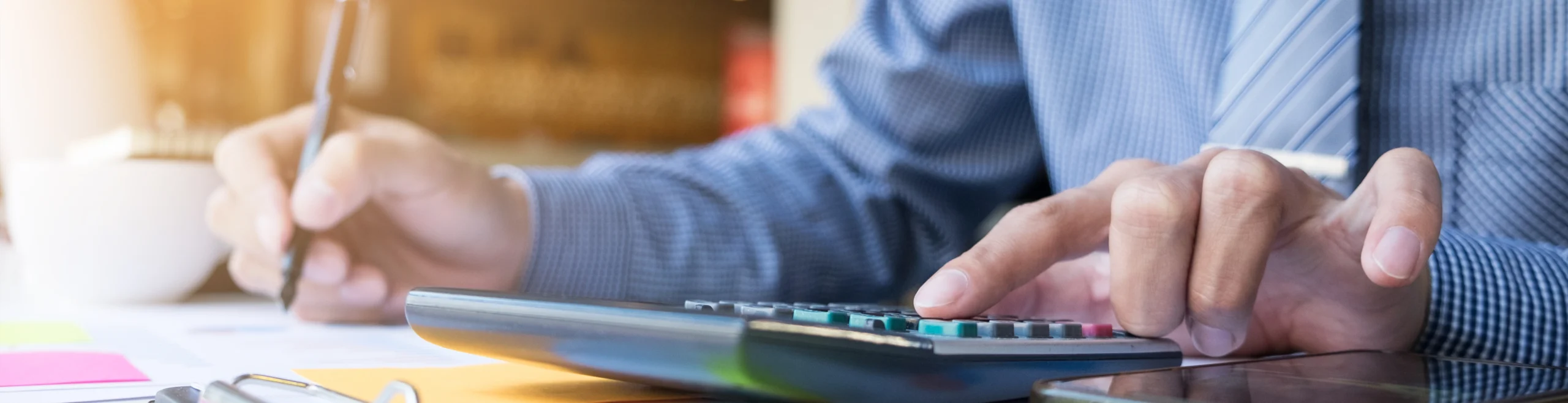 Transfer Pricing Audit Support
